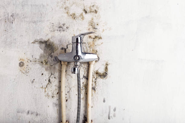 Best Mold Testing  in Woodbridge, VA