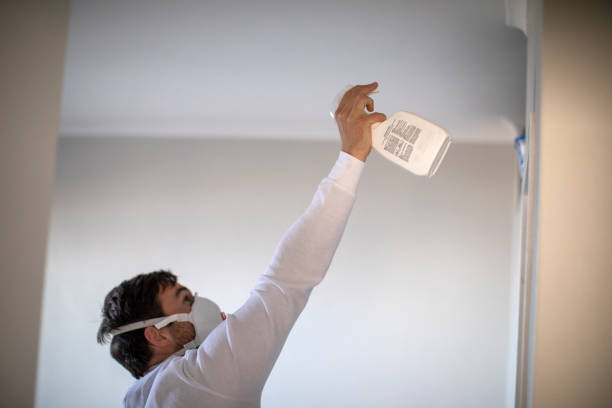 Best Black Mold Removal  in Woodbridge, VA