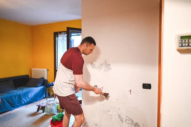 Best Office Mold Removal Services  in Woodbridge, VA
